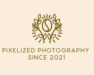 Coffee Bean Plant logo design