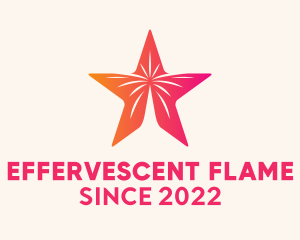 Star New Year Fireworks  logo