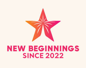 Star New Year Fireworks  logo design