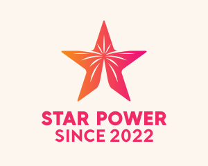 Star New Year Fireworks  logo design