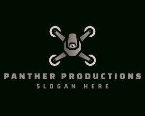 Drone Video Production logo design