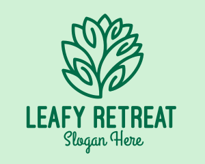 Teal Nature Leaf Spa logo design