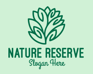 Teal Nature Leaf Spa logo design