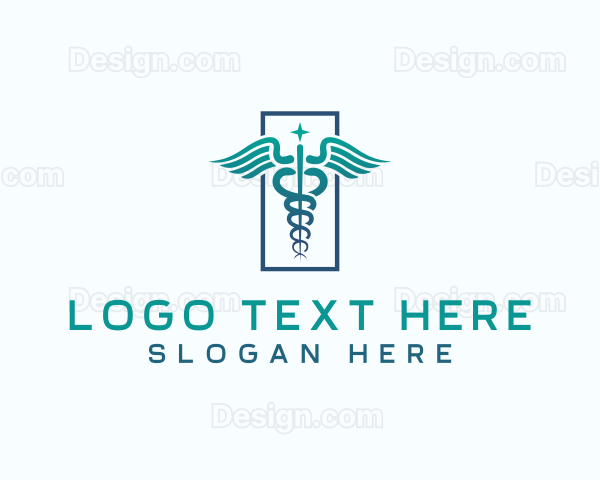 Caduceus Medical Healthcare Logo