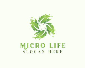 Natural Agriculture Leaf Plant logo design