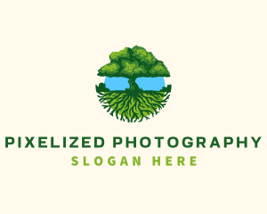 Environment Tree Roots  logo design