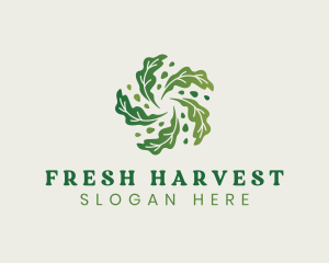 Natural Vegan Leaf logo design