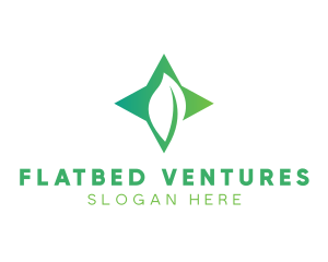 Star Leaf Plant logo design