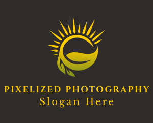 Sunshine Leaf Farm logo design