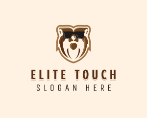 Cool Bear Sunglasses logo design