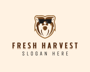 Cool Bear Sunglasses logo design