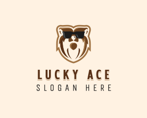 Cool Bear Sunglasses logo design