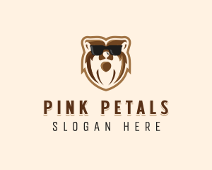 Cool Bear Sunglasses logo design