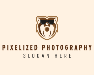 Cool Bear Sunglasses logo design