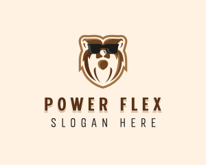 Cool Bear Sunglasses logo design