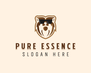 Cool Bear Sunglasses logo design