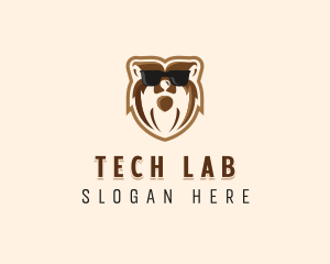 Cool Bear Sunglasses logo design