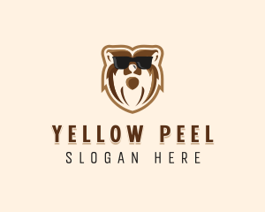 Cool Bear Sunglasses logo design