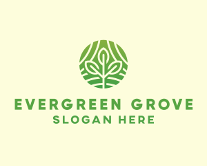 Organic Plant Farm logo design