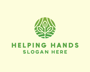 Organic Plant Farm logo design