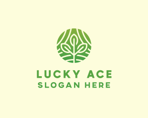 Organic Plant Farm logo design