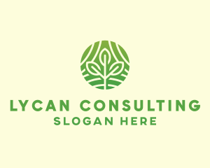 Organic Plant Farm logo design