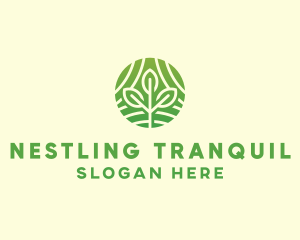 Organic Plant Farm logo design