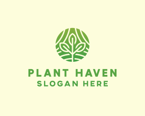 Organic Plant Farm logo design