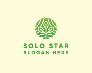 Organic Plant Farm logo design