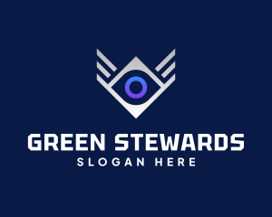 Diamond Eye Wing logo design