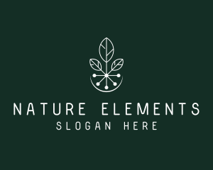 Natural Biotech Leaves logo design