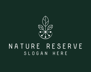 Natural Biotech Leaves logo design