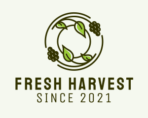 Vineyard Grapes Agriculture  logo design