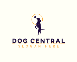 Kennel Training Dog logo design