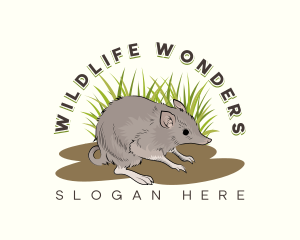 Bandicoot Wildlife Australia logo design