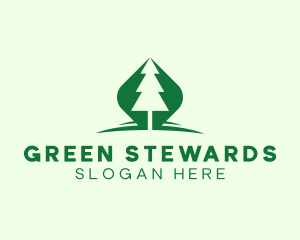 Outdoor Green Pine Tree logo design