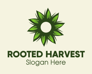 Eco Leaf Flower  logo design