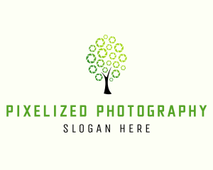 Nature Tree Photography logo design