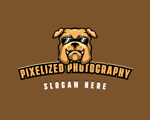 Glasses Bulldog Animal logo design