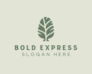 Green Pine Tree logo design