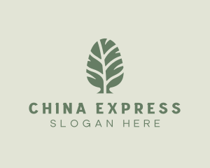 Green Pine Tree logo design