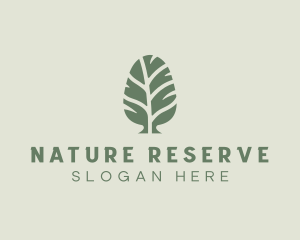 Green Pine Tree logo design