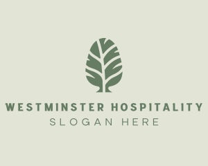 Green Pine Tree logo design