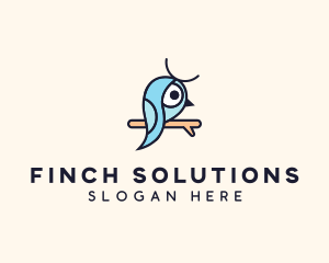 Blue Robin Finch logo design