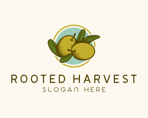 Organic Olive Fruit logo design