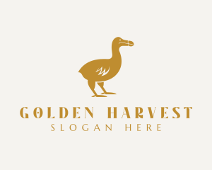 Golden Dodo Bird logo design