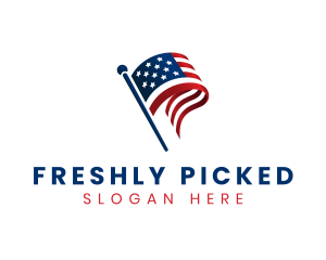 Political American Flag logo design