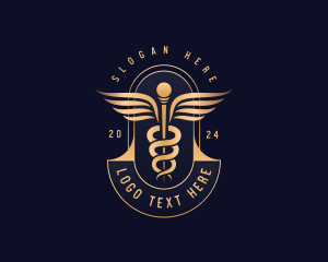 Caduceus Health Medical logo