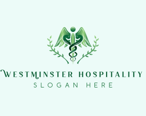 Medical Caduceus Healthcare logo design