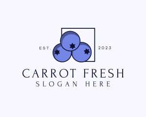 Fresh Blueberry Fruit logo design